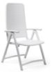 Picture of Darcena Folding Chair by Nardi 4 PACK PRICE