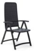 Picture of Darcena Folding Chair by Nardi 8 PACK PRICE