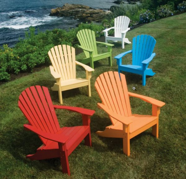 Picture for category Adirondack