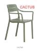 NARDI CASSIA DINING ARM CHAIR CACTUS